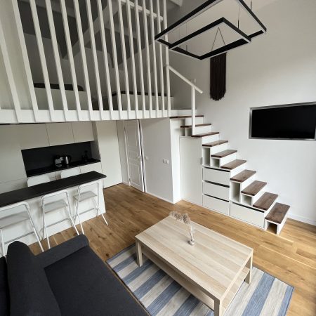 Dviaukštis liukso klasės šeimyninis loftas Nr. 12