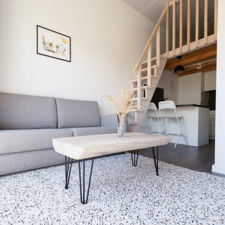 Šeimyninis loftas B Nr. 4