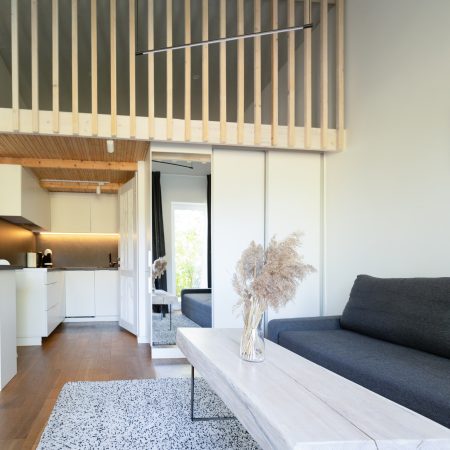 Didelis liukso klasės šeimyninis loftas B Nr. 7