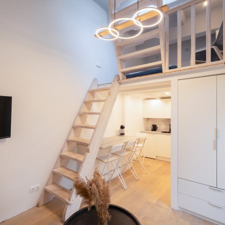 Šeimyninis loftas su stogo terasa Nr. 8